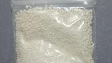 همسو ورزشی